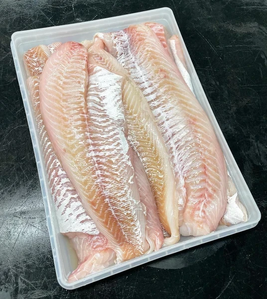 Fresh Cod