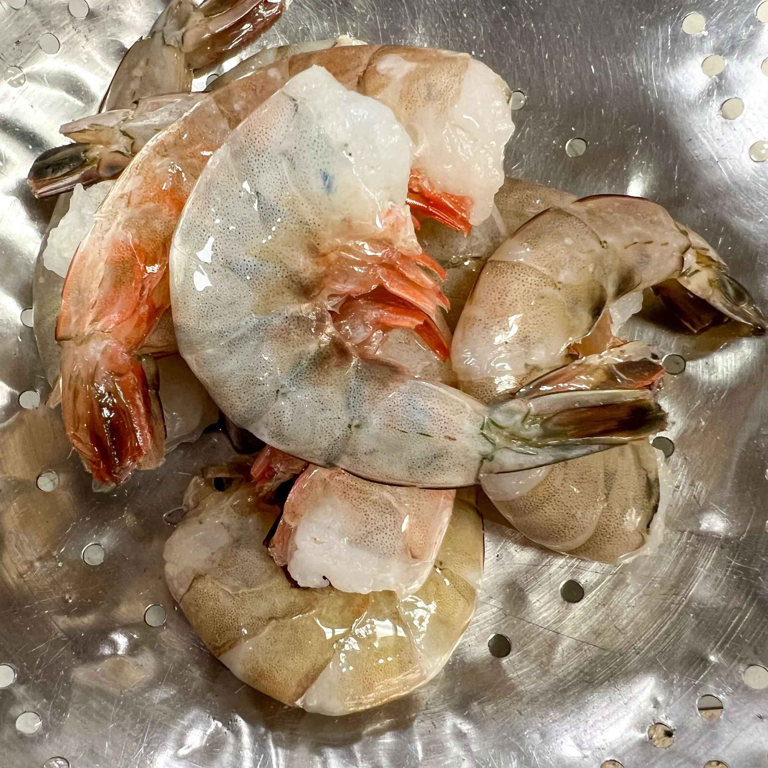 Fresh Shrimp