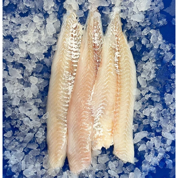 Haddock