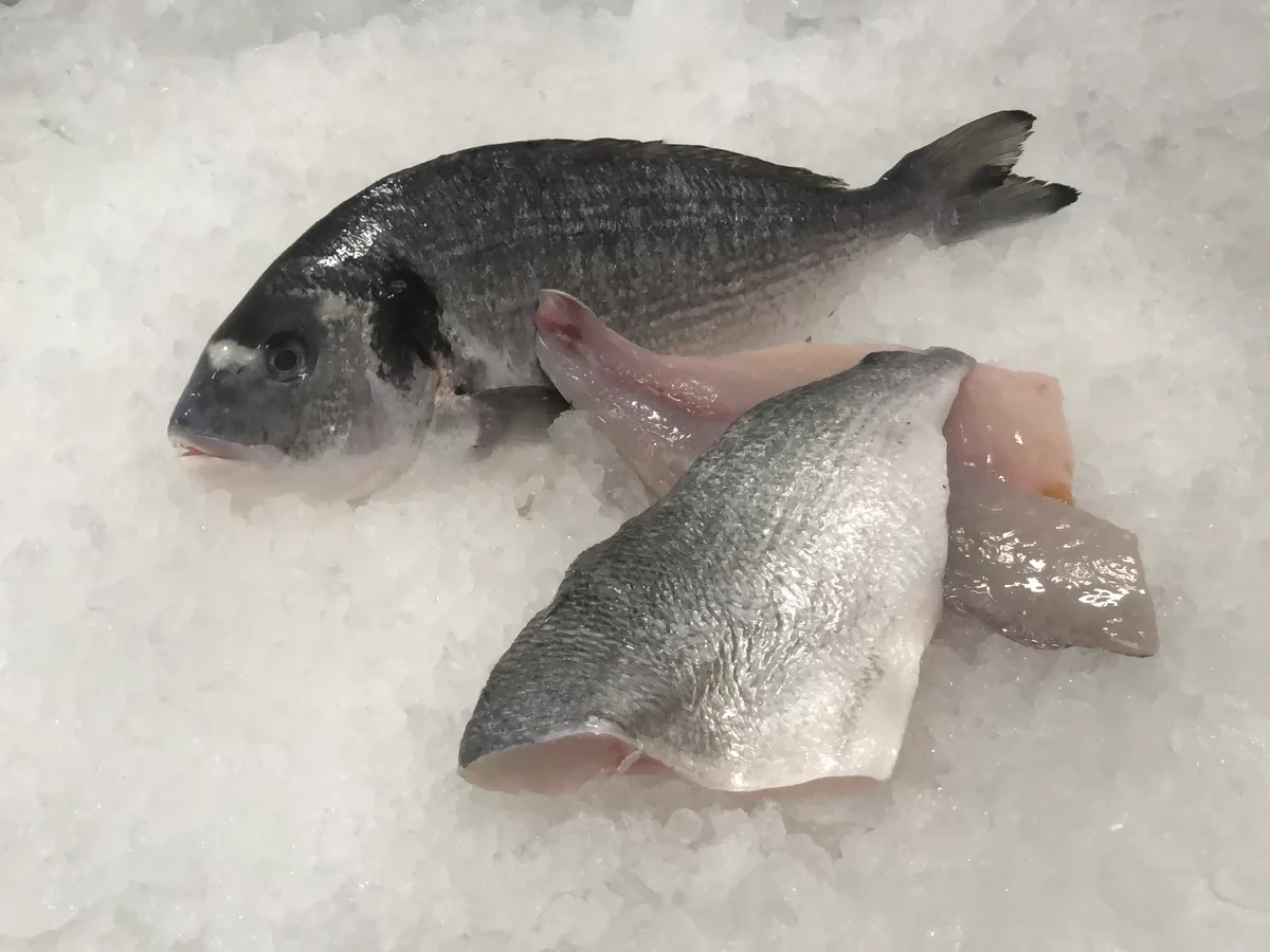 SeaBream