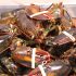 Snow Crab