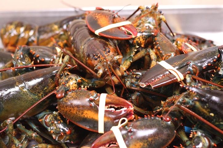 Our Services — seafood preparation and catering